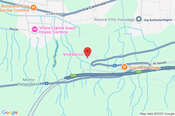 Viva Grill Ristorante Churrascheria