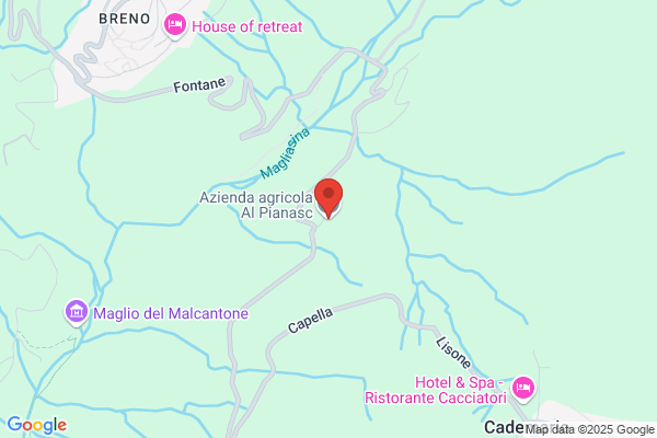 APM Agricola Piana di Magadino