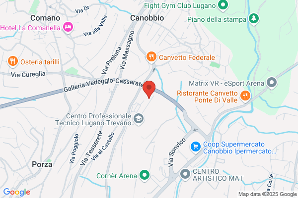 IVS Ticino