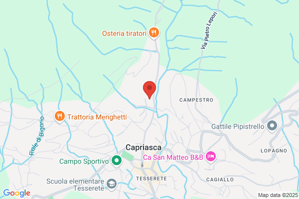 Waldvogel Susanna Studio di naturopatia
