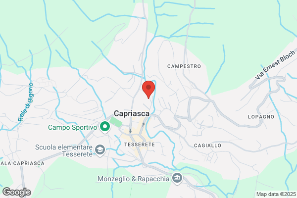 Hotel Villa Capriasca