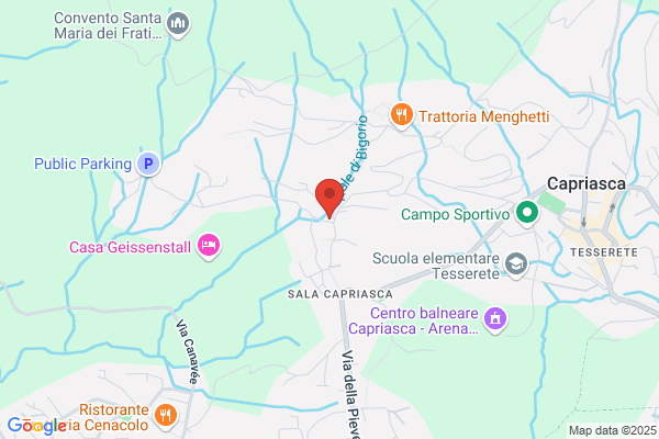 Carpenteria di Trevano SA Legnami