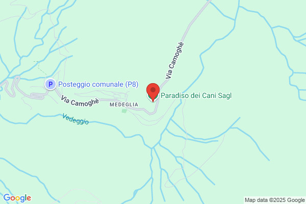 Pensione Paradiso dei gatti