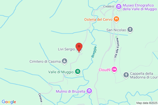 Livi Sergio SA