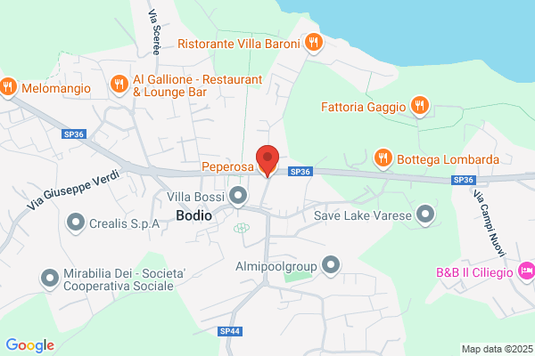 Ristorante-Pizzeria Bodio
