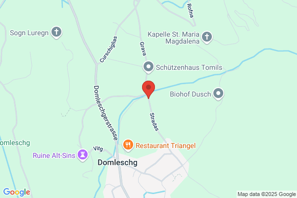 Landw. Konsumgenossenschaft Domleschg