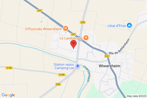 AMS Services