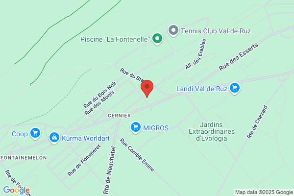 Info service VDR, Houle