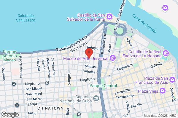 Casa Tropical
