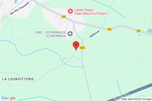 Go Informatique SA