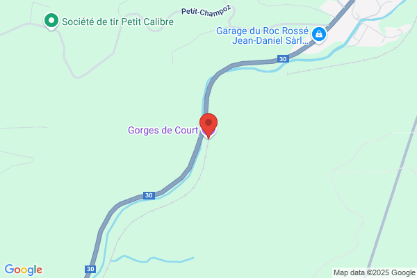 Scierie de Court SA