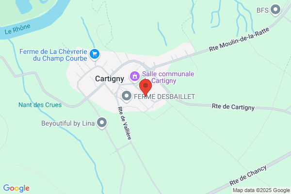 Georges Barthassat SA