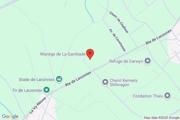 Manège de la Gambade