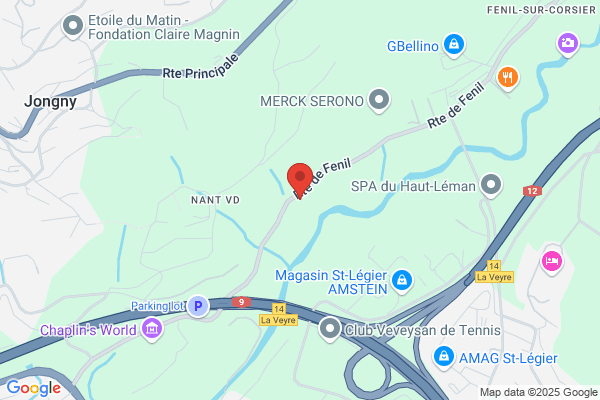 AP Entreprise générale SA