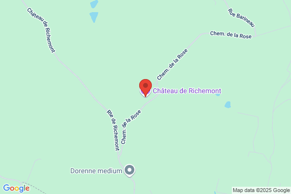 Richemont Château d'Oex SA