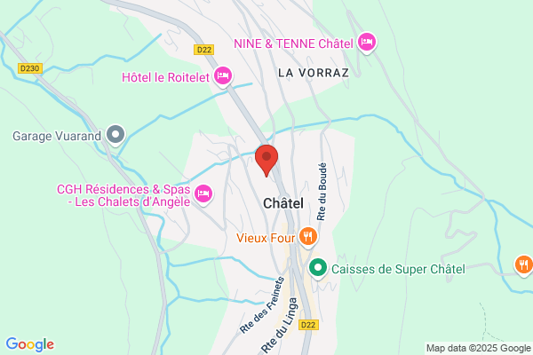 A la Reine Delphine Châtel-sur-Montsalvens