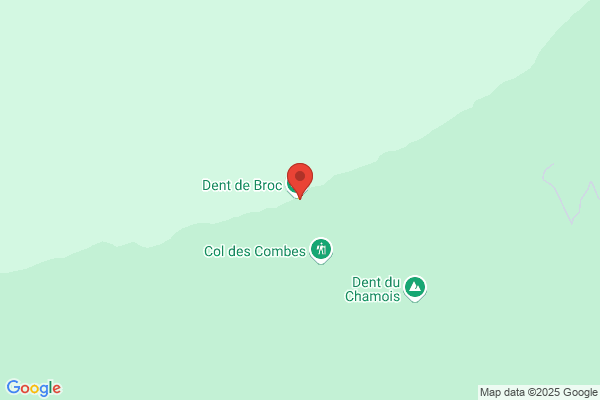 Méd.dent. M. Stevic-Hadzi