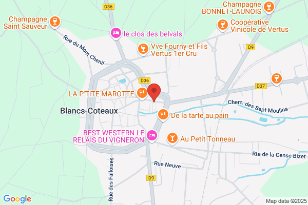 Stéphane Maillard Bureaux d'Etudes