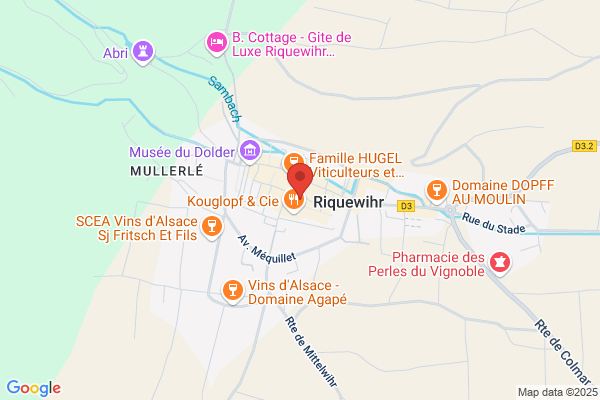 Grenouille SA Luxembourg succursale de Genève