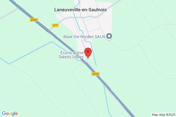 Equus Libertas Est SA