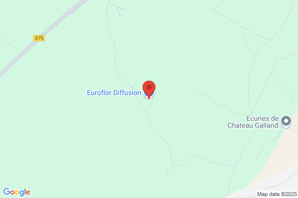 Euroflor