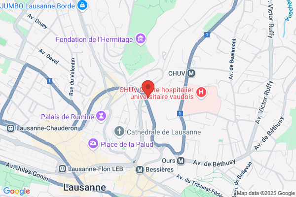 Massage Thai Wat Pho Lausanne