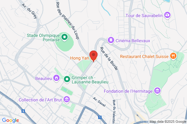 Hong Yan Restaurant Chinois à Lausanne