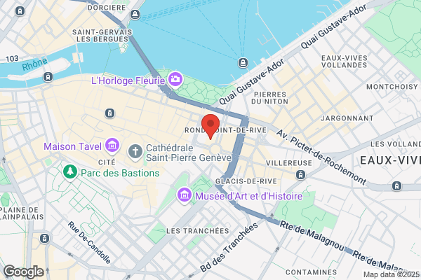 Comptoir Genevois Immobilier Bureau centrale Les Cygnes