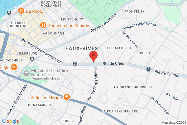 dieci Pizza Genève Eaux-Vives