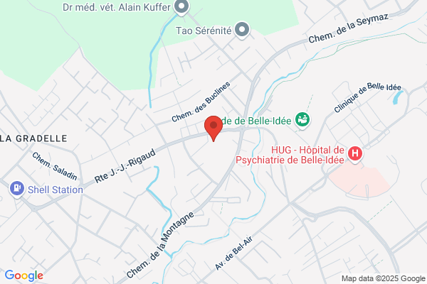 Romiguier Services