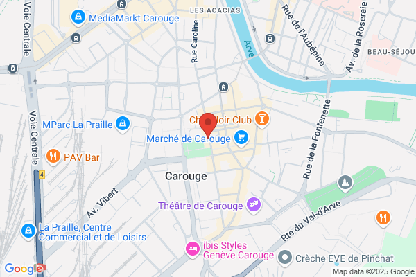 Galerie Carougeoise Delafontaine