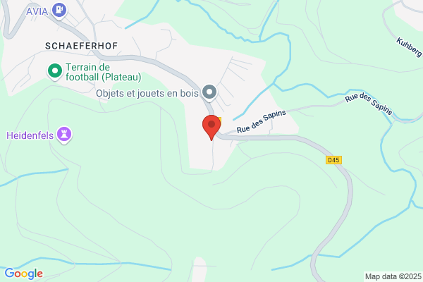 Les couvreurs du Léman, M. Zaid