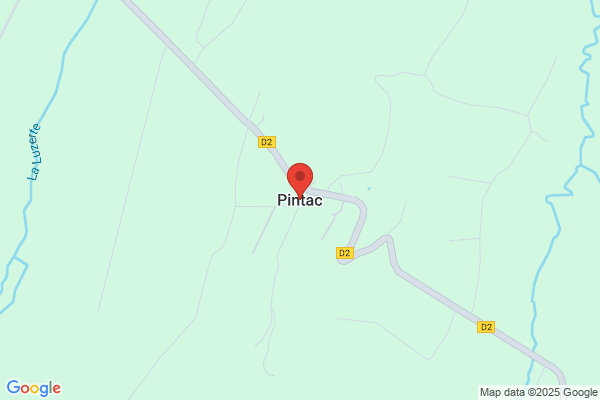 PANTACT