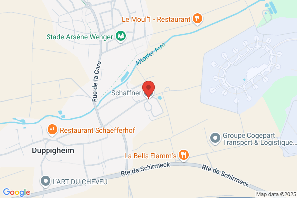 Schaffner-Ferrements SA