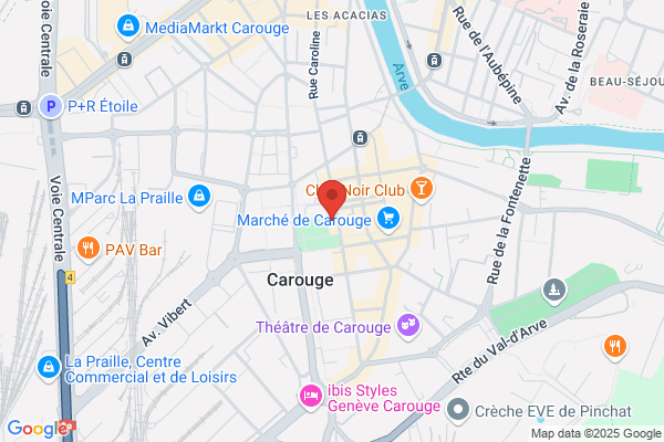 Galerie Carougeoise Delafontaine