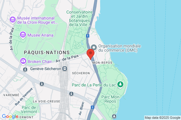 Satel Service
