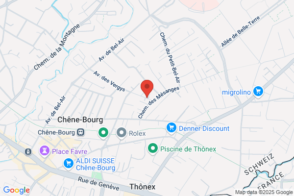UES Uhde Electronic Service