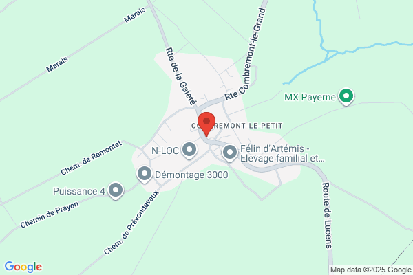 DALMIX FABIENNE BETTEX