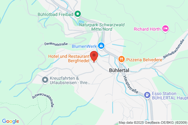 Hotel-Service RAS Buehler