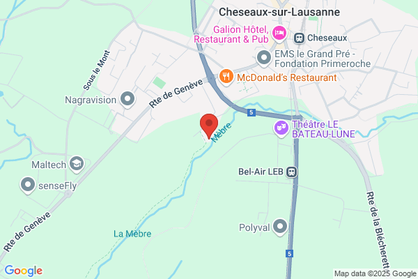 MONTEIRO handicap