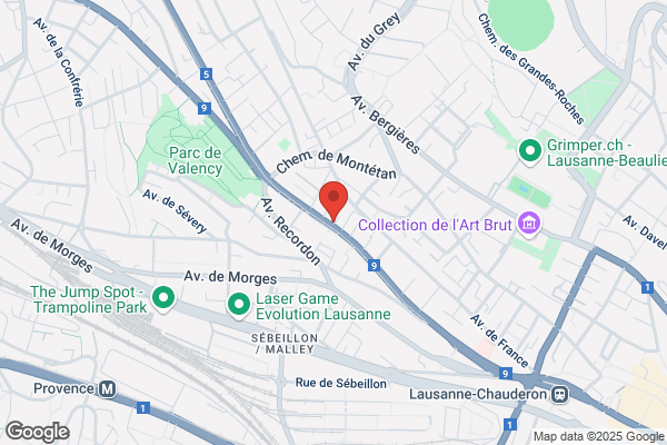 Denner Satellite