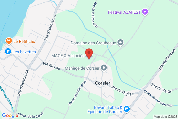 P ingénierie SA