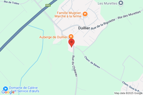 Château de Duillier