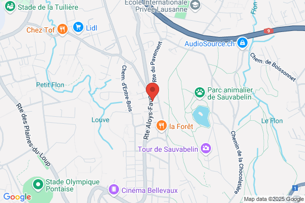 Banque Cantonale Agence Bellevue