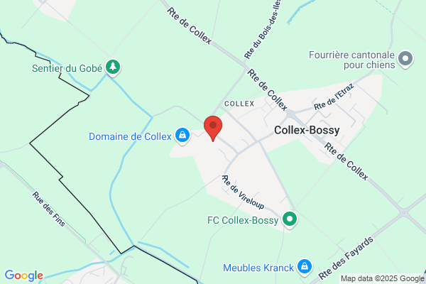 Cure catholique Collex-Bossy