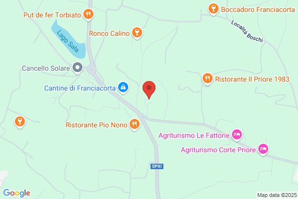 Terre da Vigna