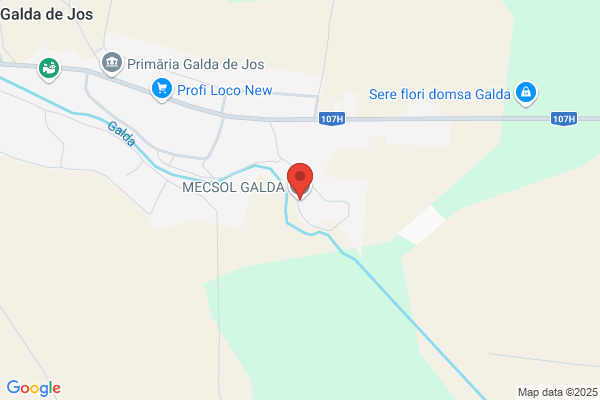 Termo Mecsol SA