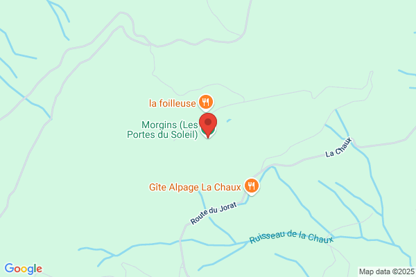 Télémorgins SA