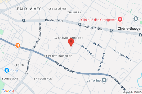Laetitia Chansel