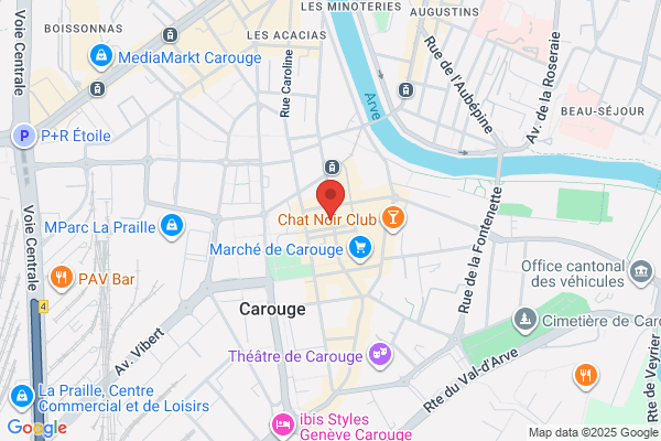 AGENCE IMMOBILIERE RIBORDY SA